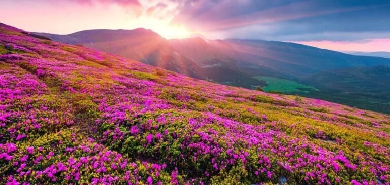 AzLjZfCXafOp4mEu3pmhTO5sCMATg1v6oDRc2DDJ