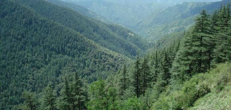 c16pxuzen0t5vdVuh1meHso09TyIIKm2b6LU6DV8